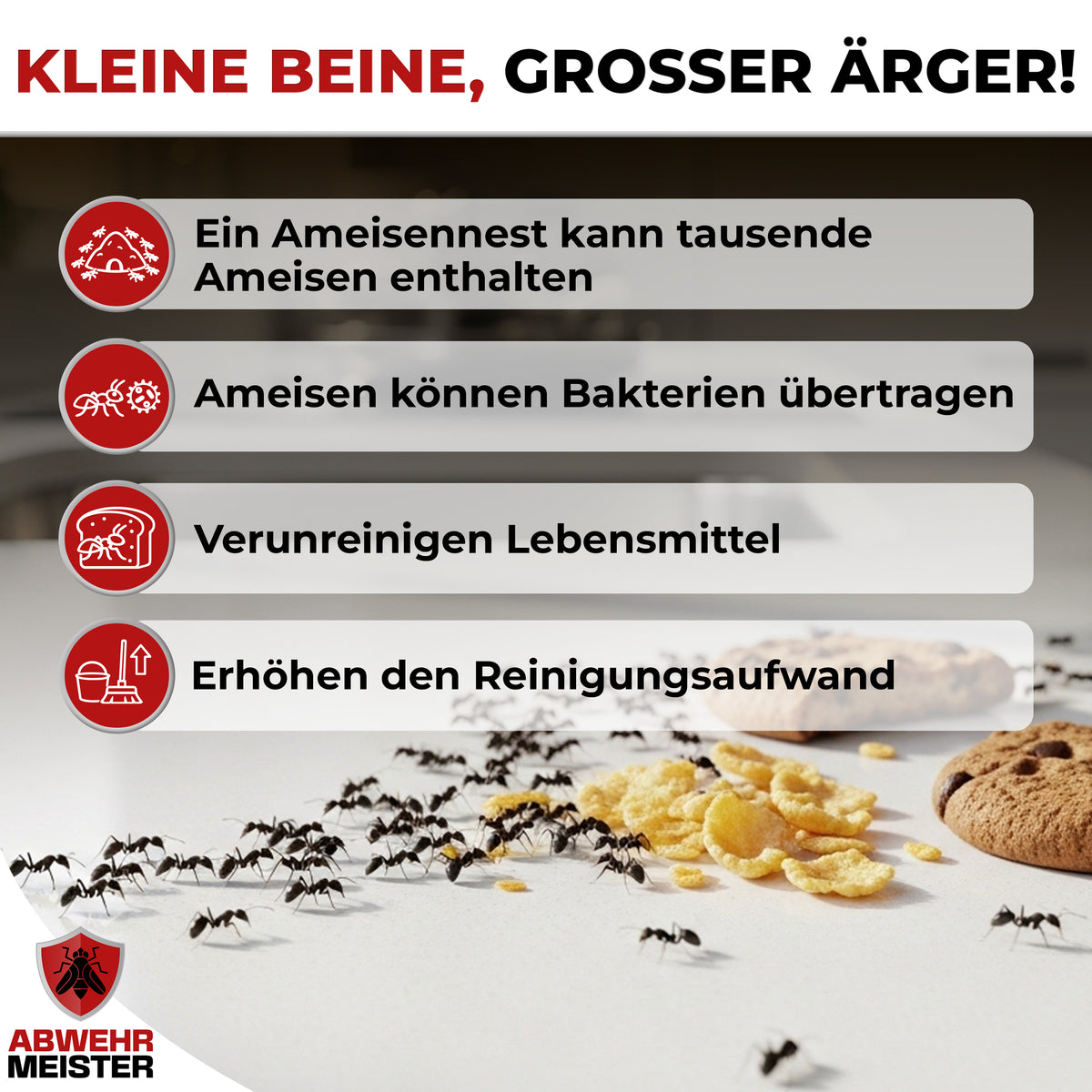 ByeBye Ameisenspray 500ml