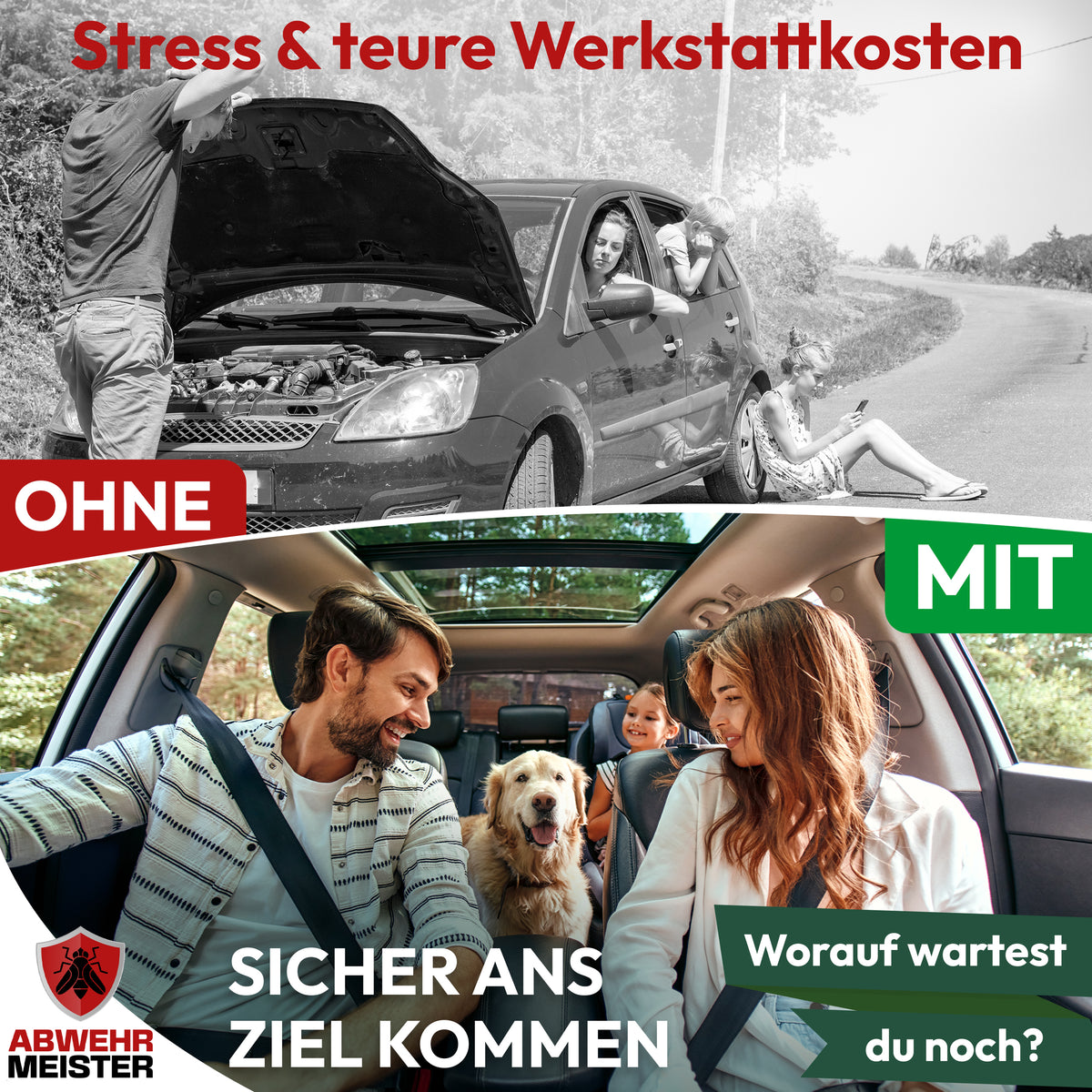 4x Marderschreck-Kugeln inkl. PKW-Halterung