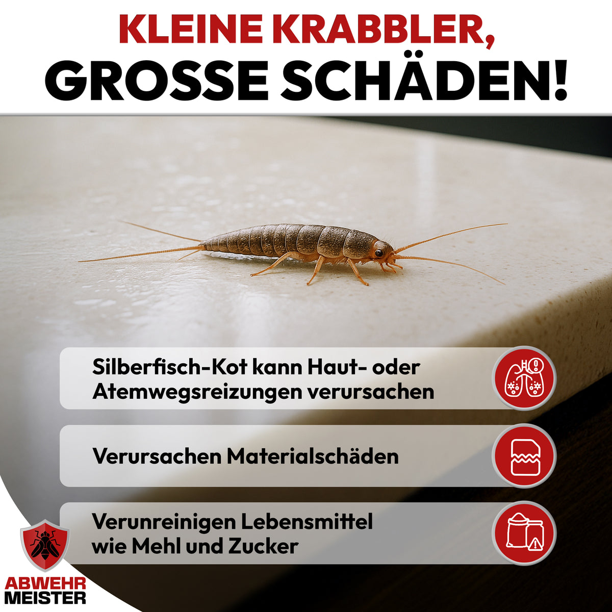 ByeBye Silberfischspray 500ml