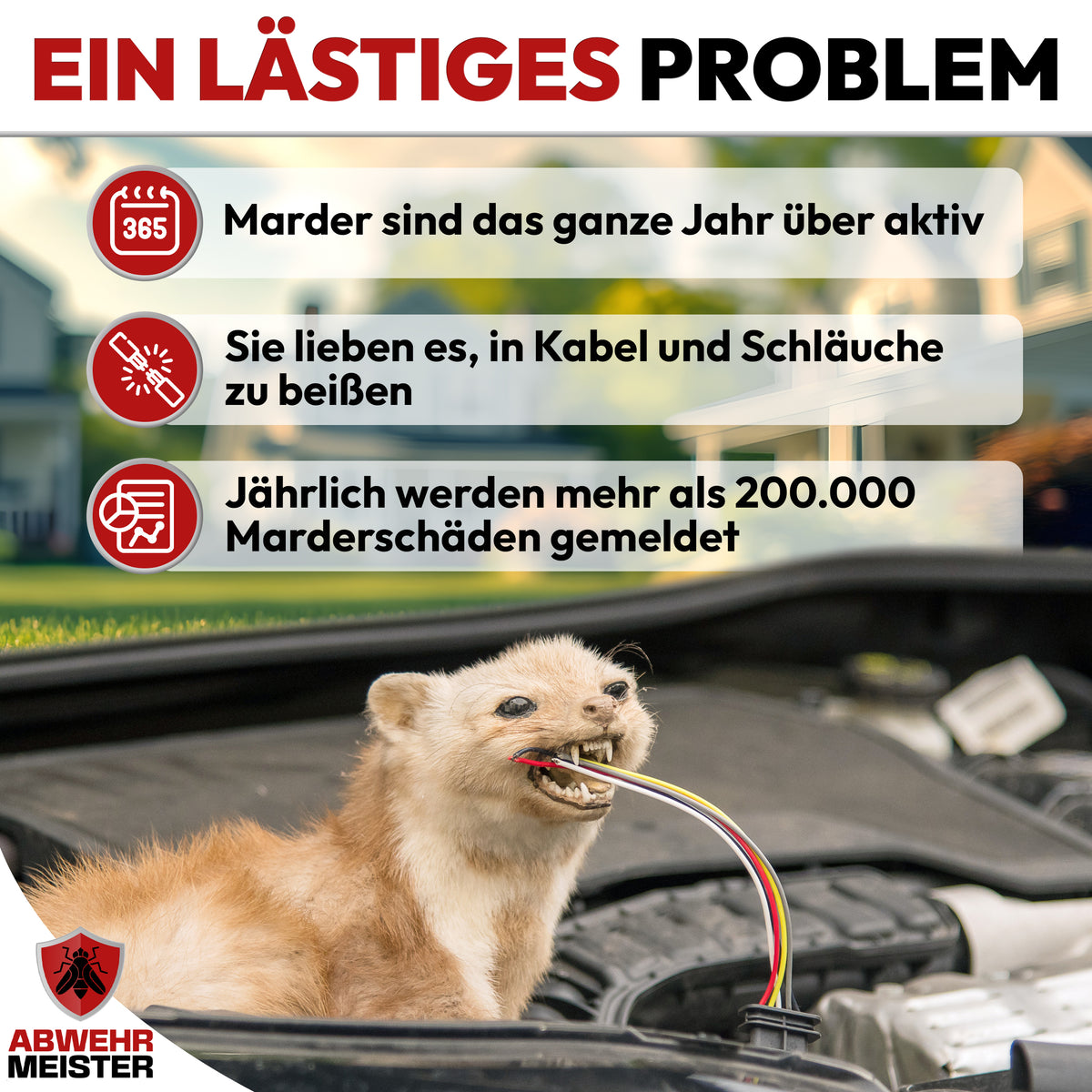 4x Marderschreck-Kugeln inkl. PKW-Halterung