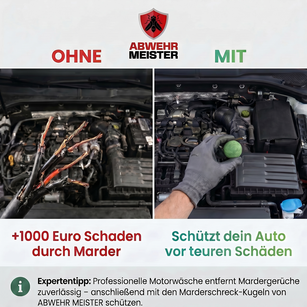 4x Marderschreck-Kugeln inkl. PKW-Halterung